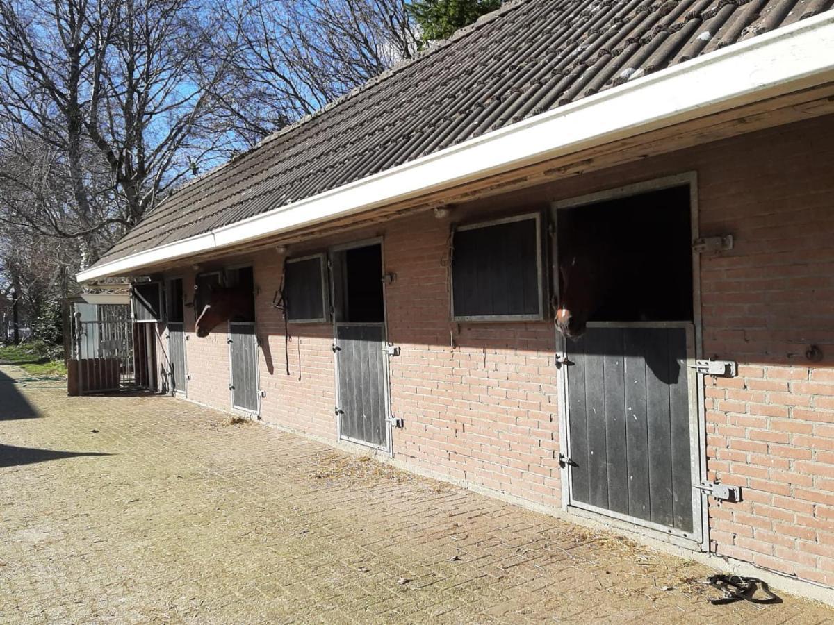 'T Wolthoes Vlagtwedde Exterior photo